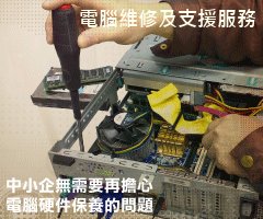 顧問及支援服務